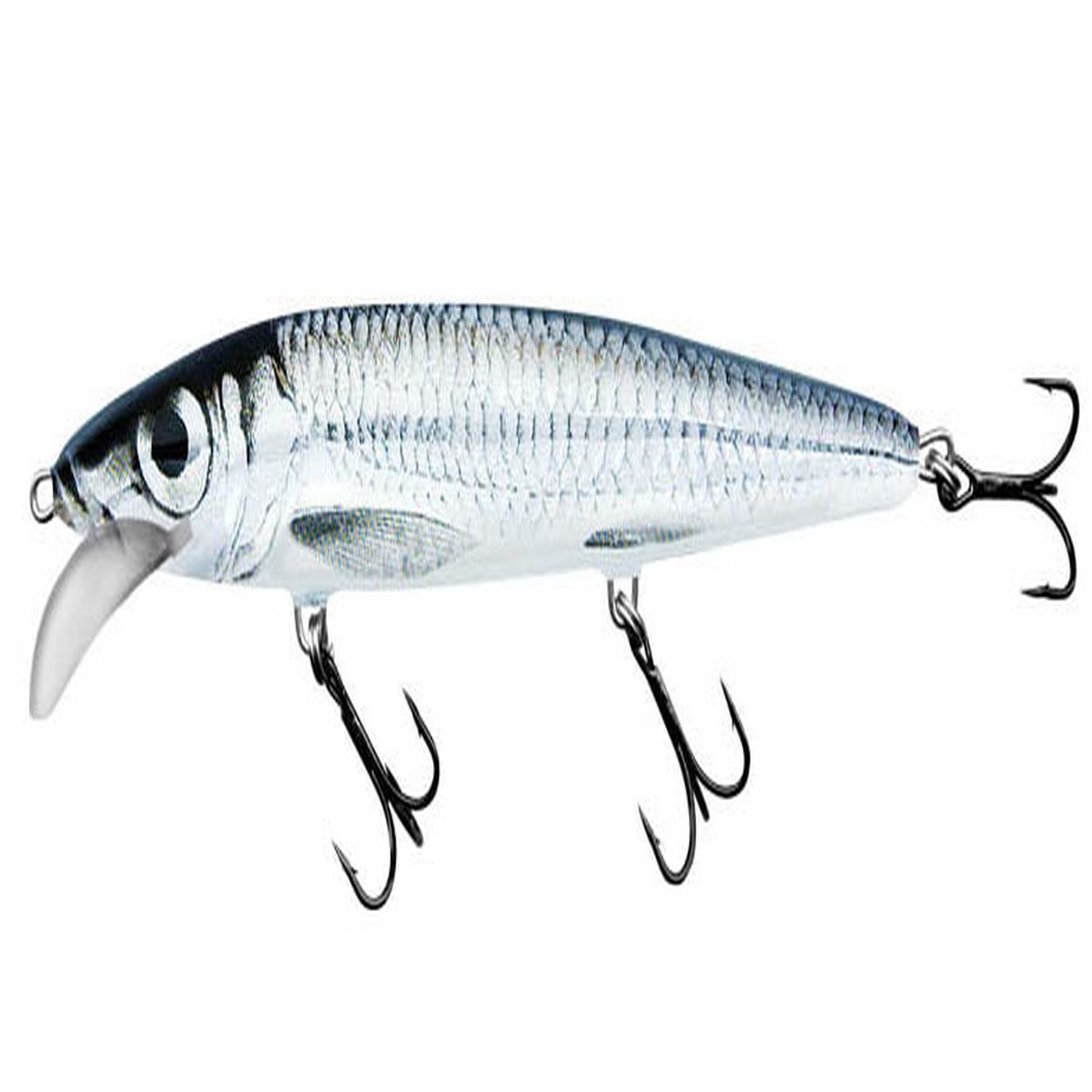 SALMO Whacky 9 FL BWB