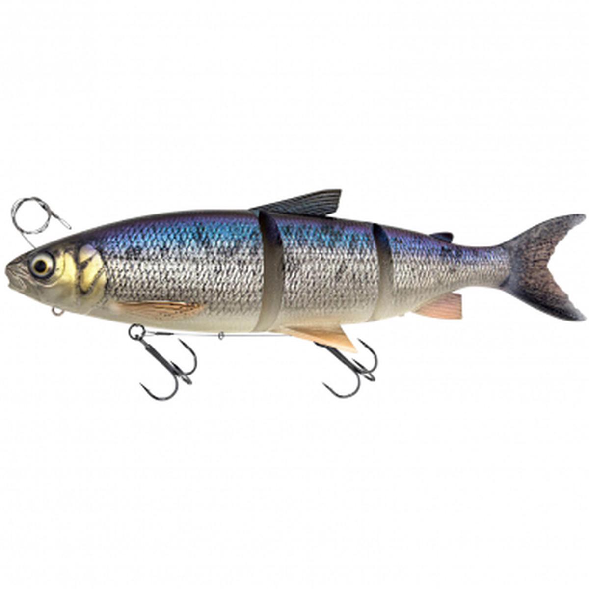3D Line Thru Whitefish (Whitefish)