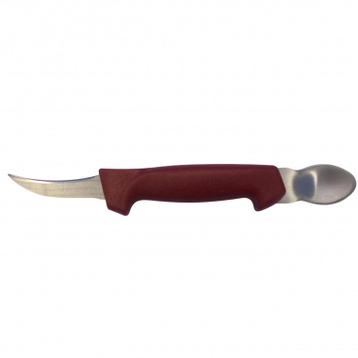 Cleaning knife
