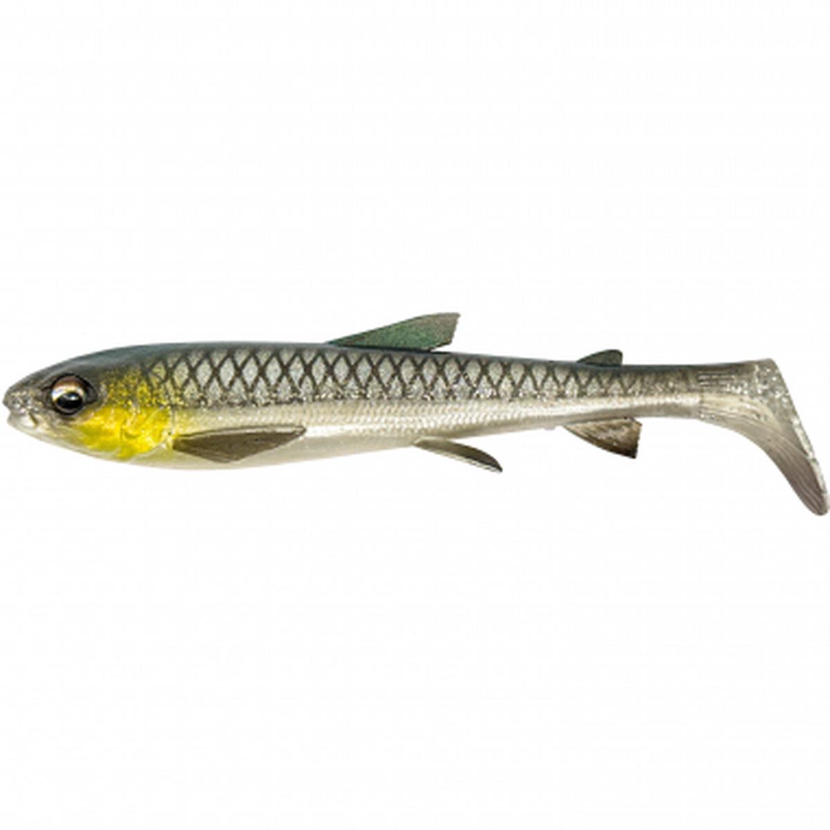 3D Whitefish Shad (Green Silver)