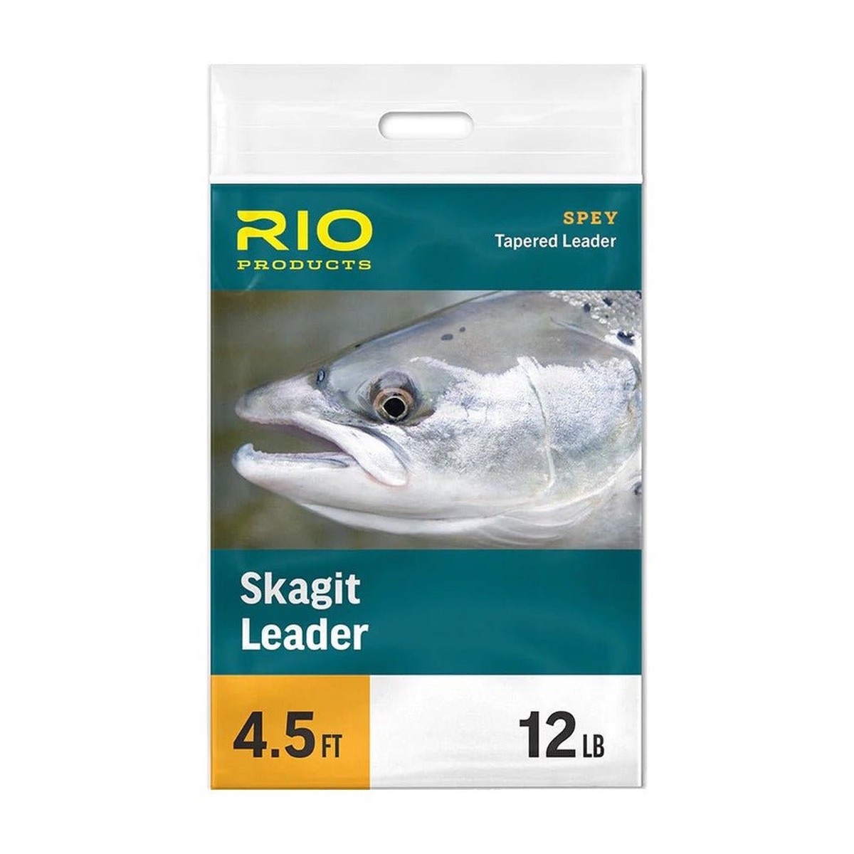 RIO Skagit Leader
