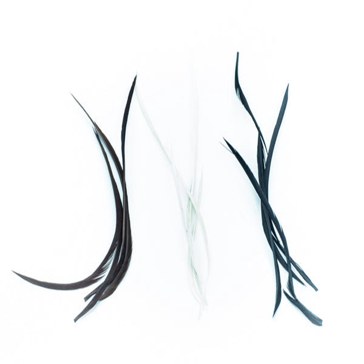 Stripped Goose Biots--Hareline