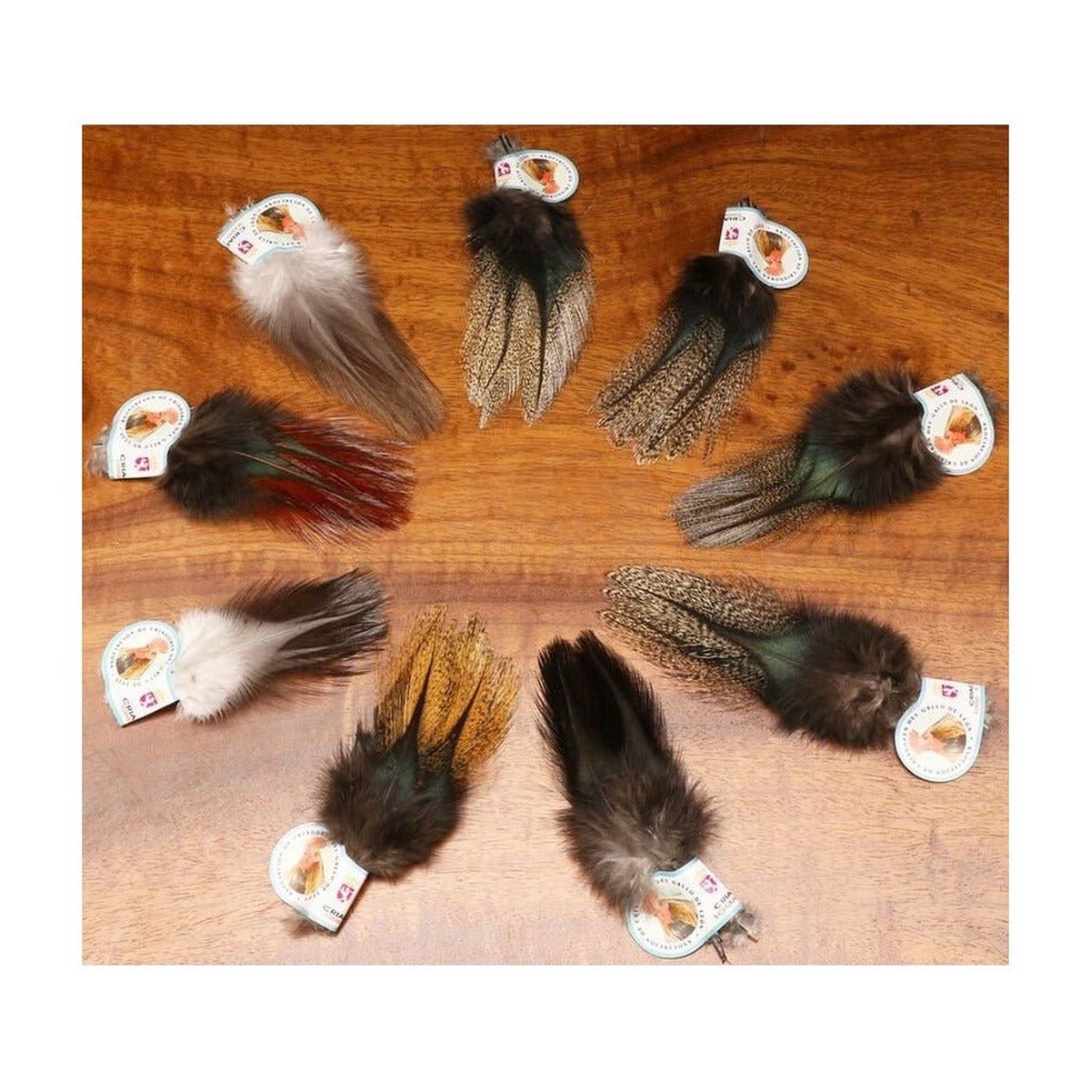 Coq De Leon - Hareline