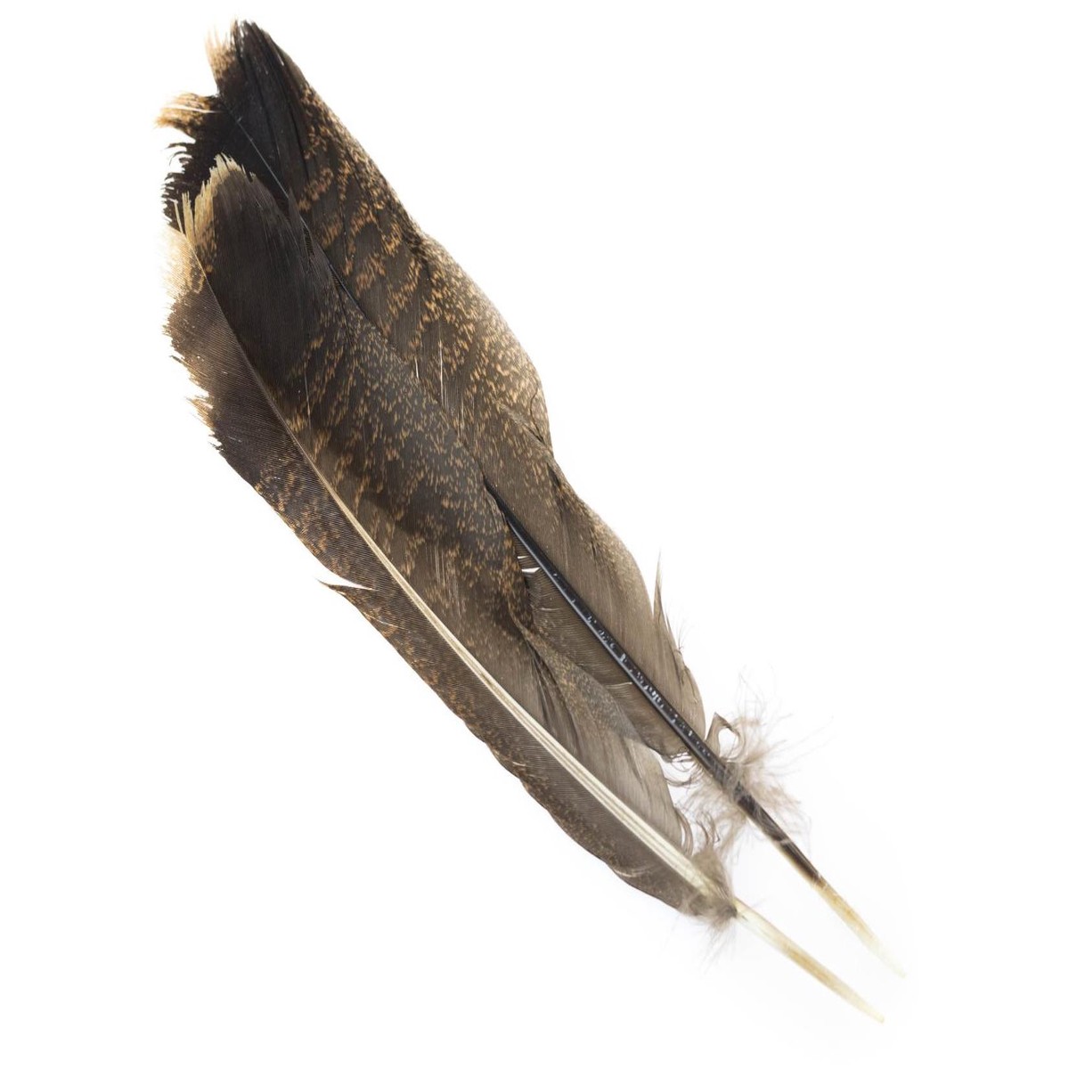 Hareline Cinnamon Tip Turkey Tail Feathers