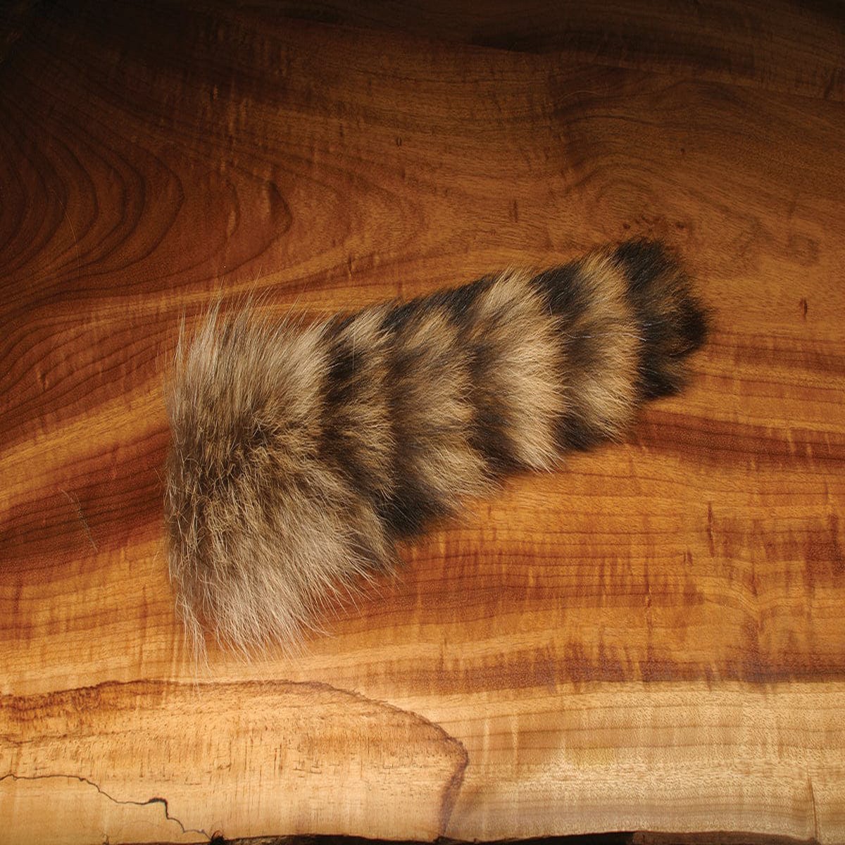Hareline Complete Raccoon Tail