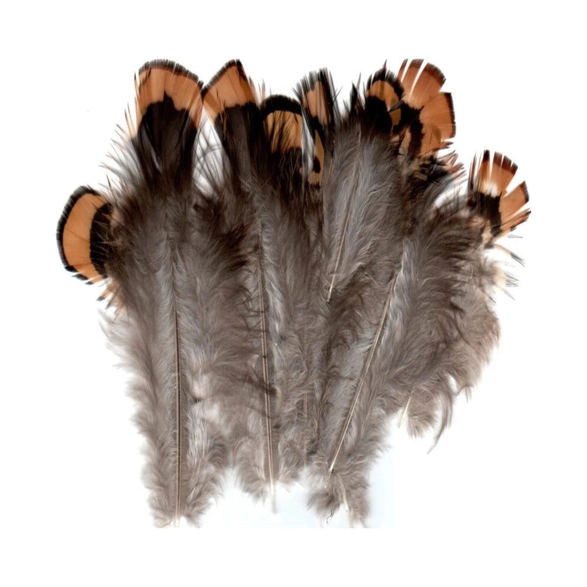 Hareline Venery Pheasant Body Plumage
