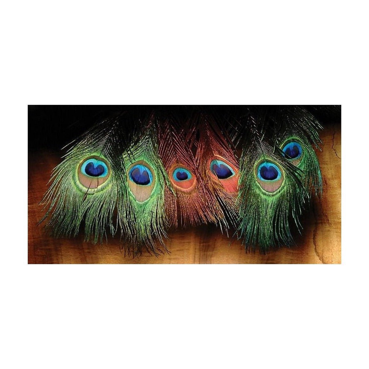 Hareline Dyed Peacock Eye Sticks