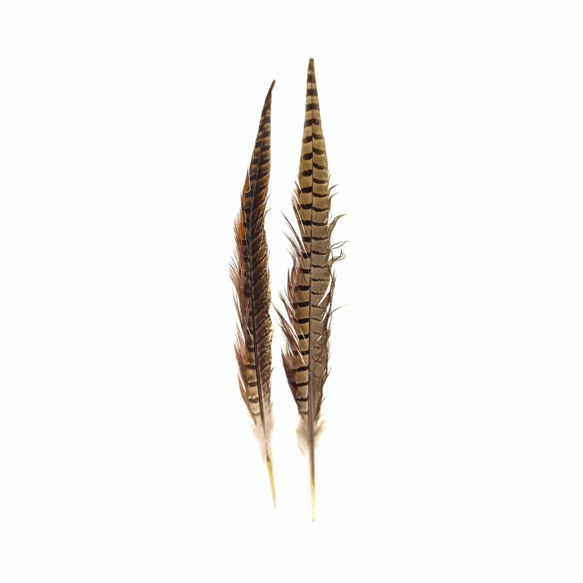 Hareline Ringneck Pheasant Tail Feathers