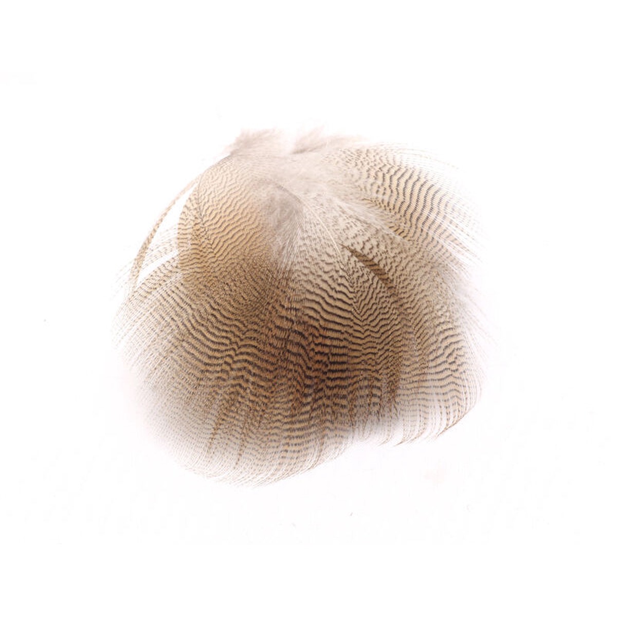 Hareline Woodduck Feathers