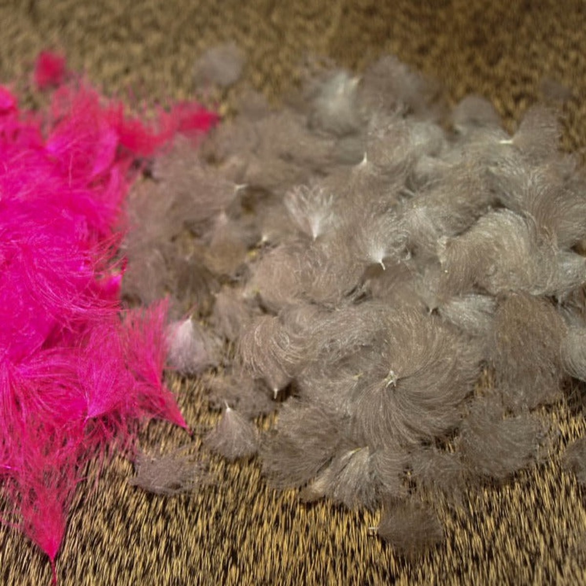 CDC Oiler Puffs
