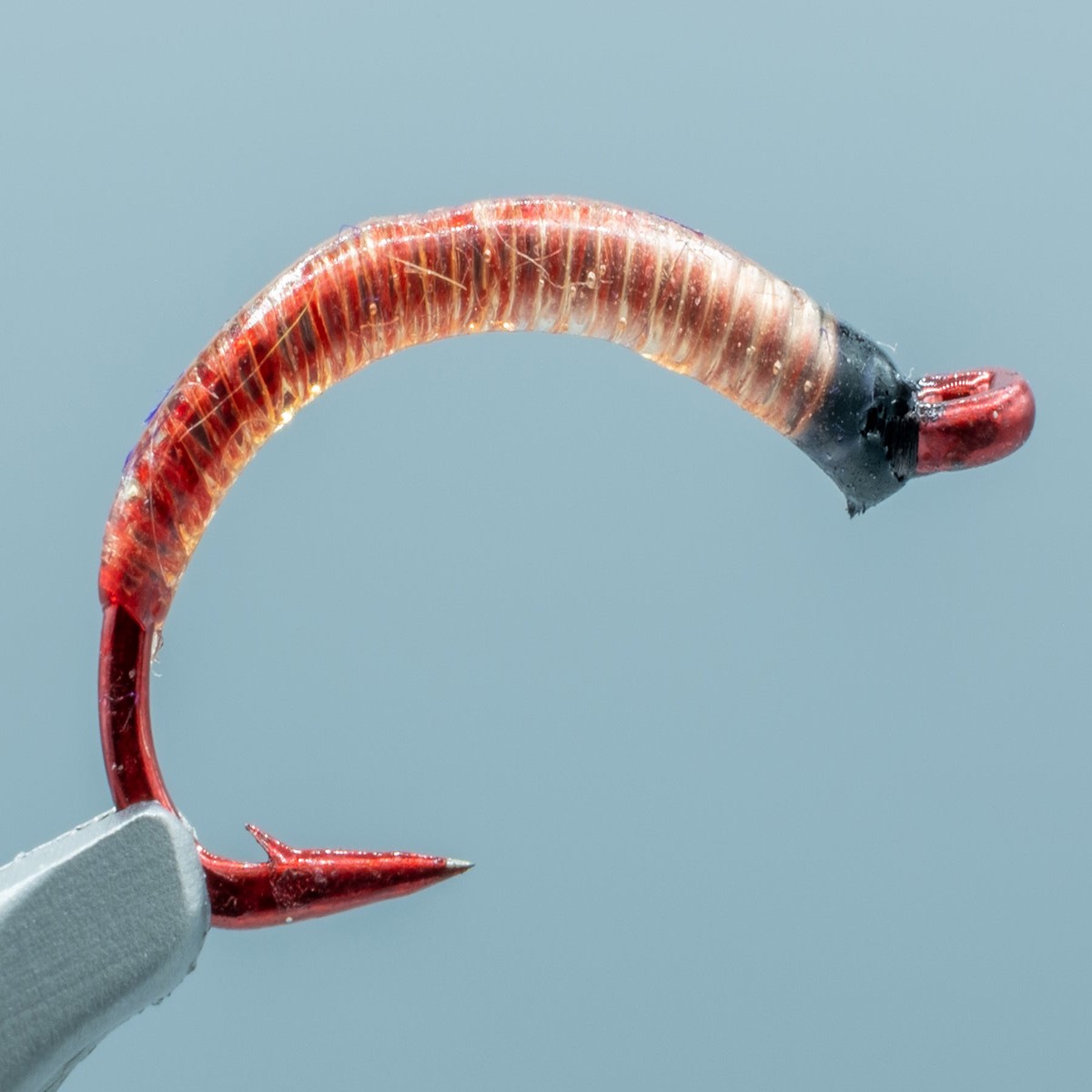 Bloodworm Red #08