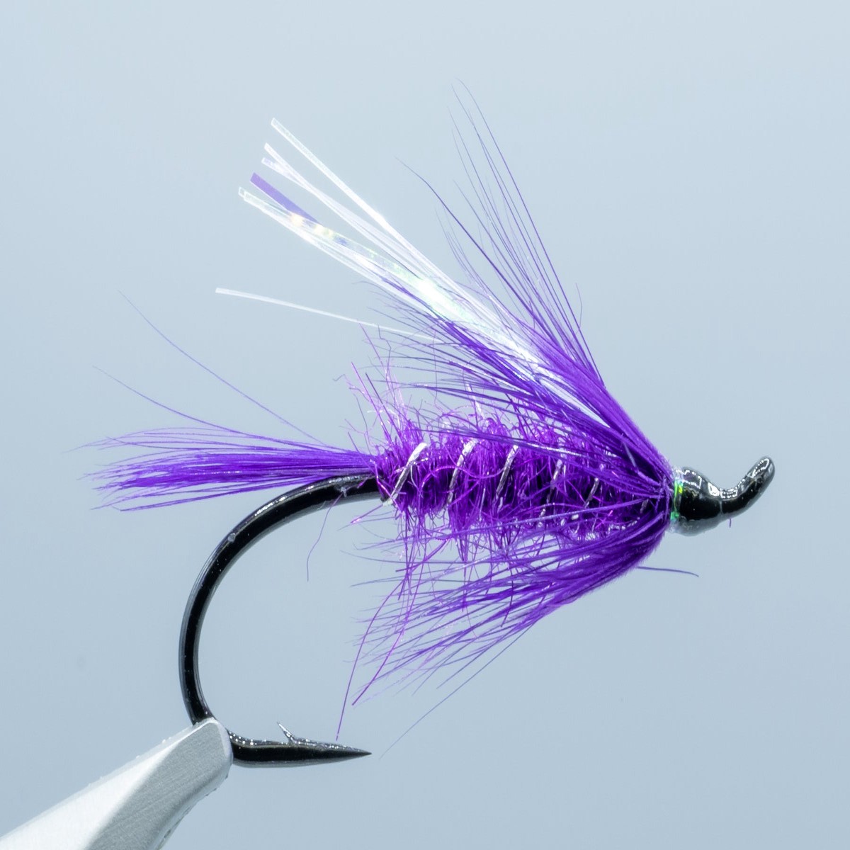Street Walker Purple #6