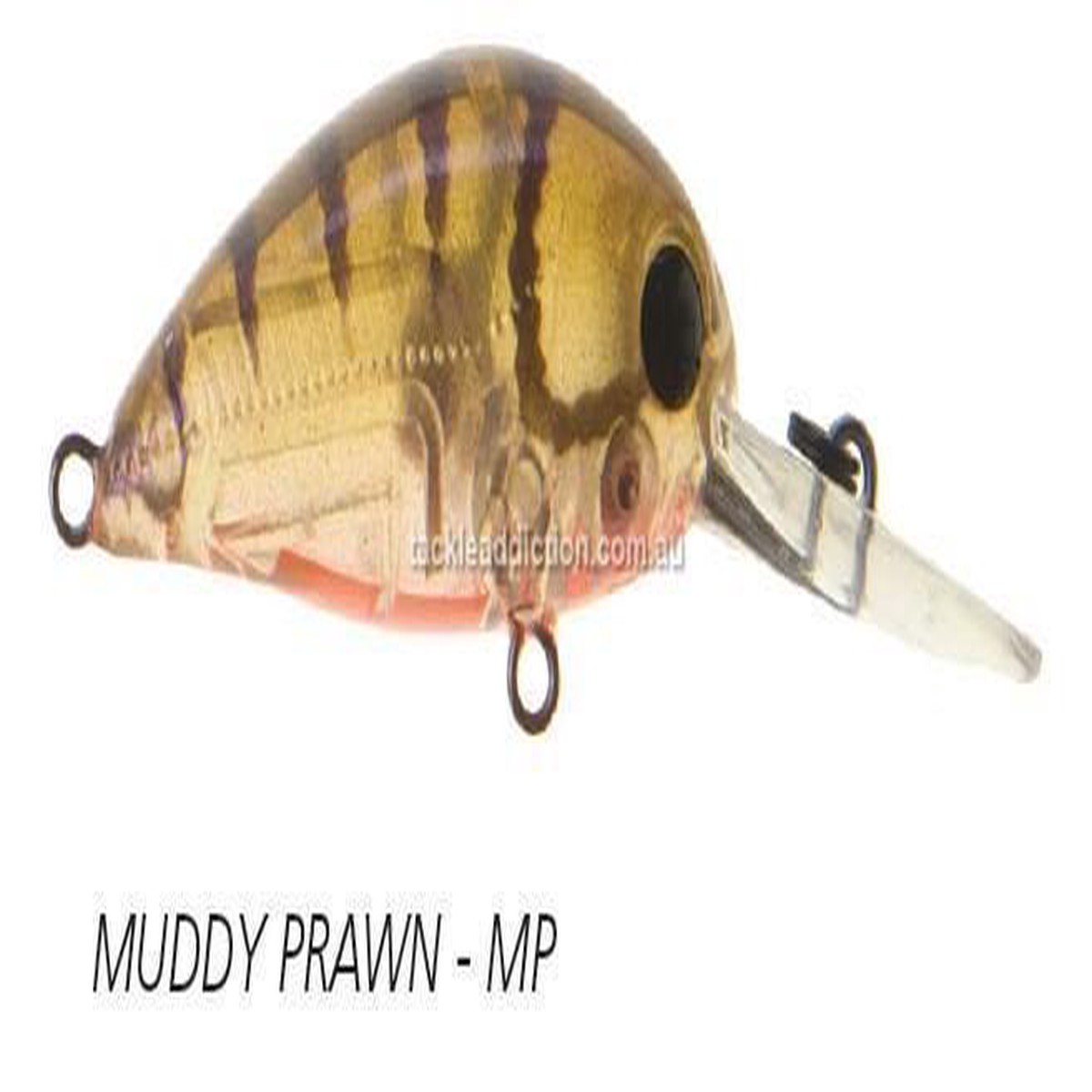 Atomic Hardz 38 Deep Crank Bait