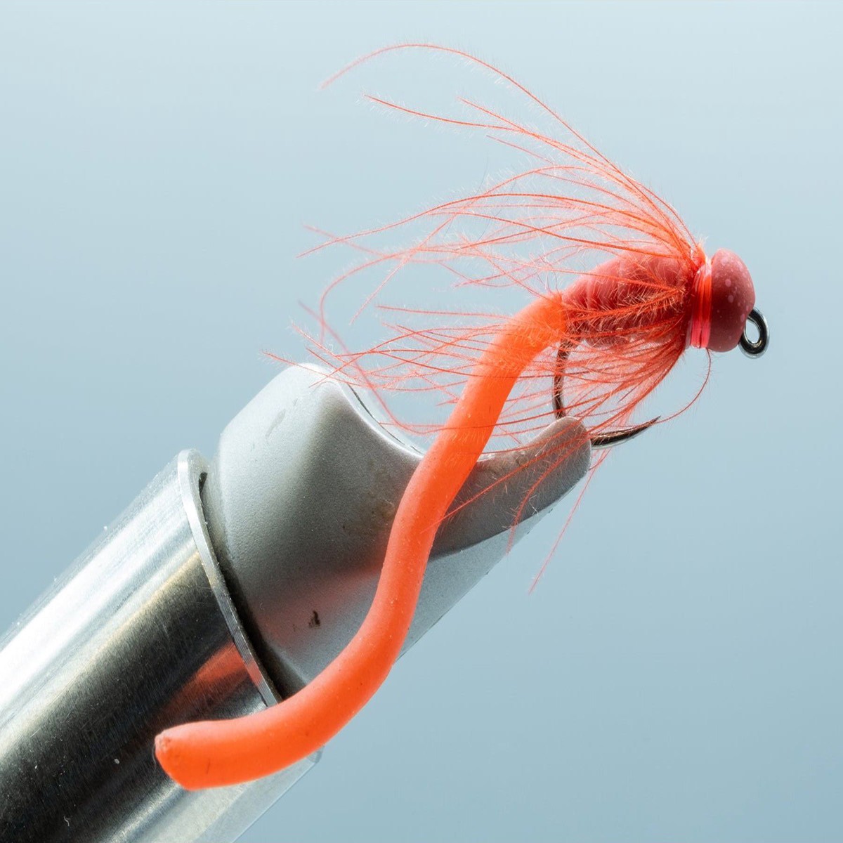 Worm Farm Red #14