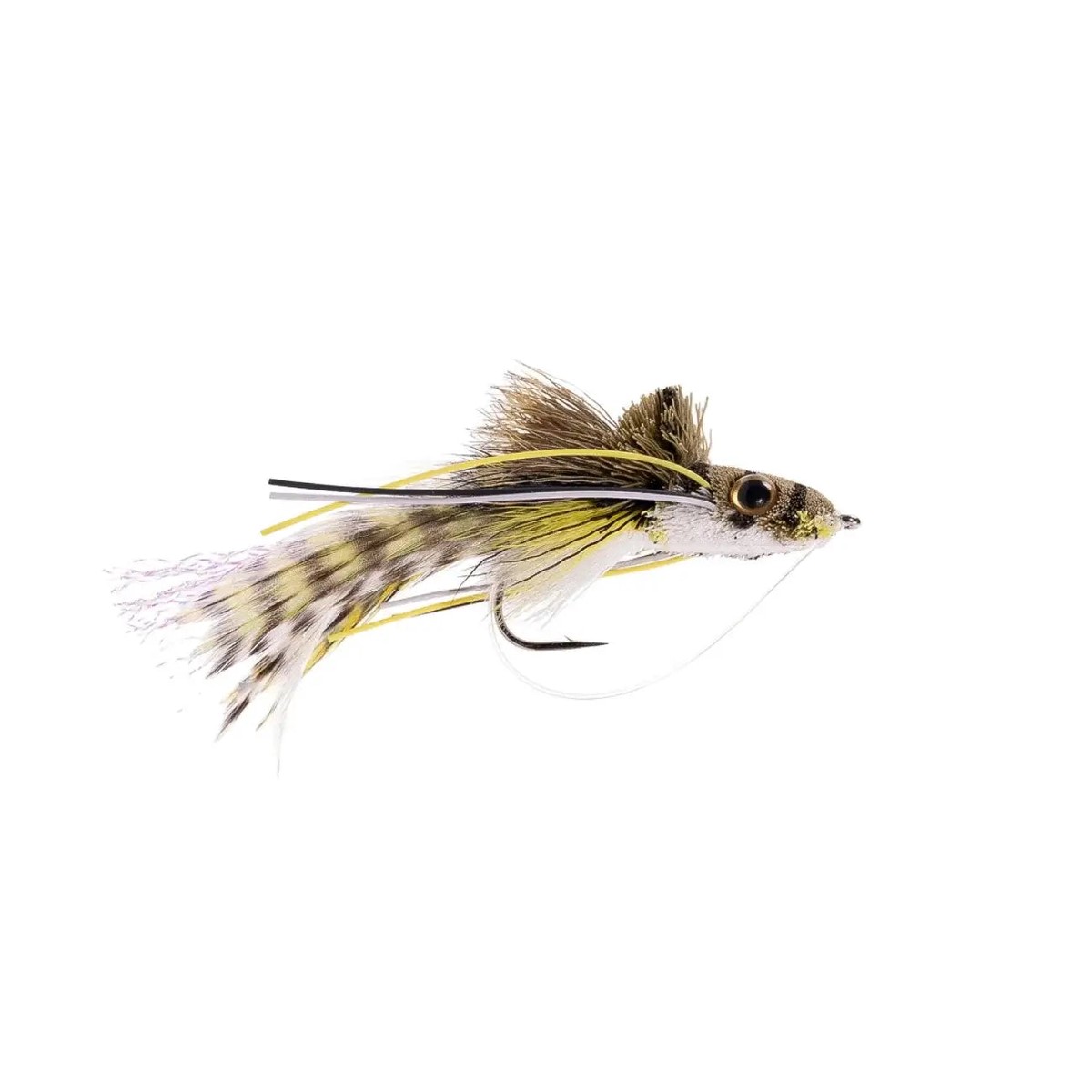 Umpqua Swimming Frog