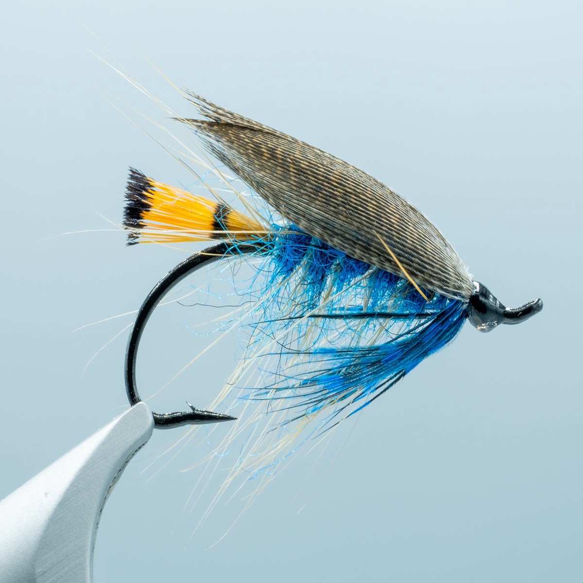 The Heisenberg Kingfisher Blue #5