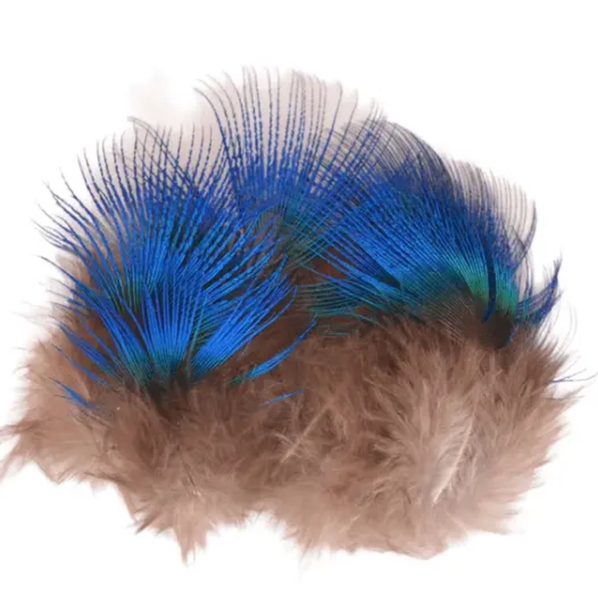 Blue Peacock Neck Feathers