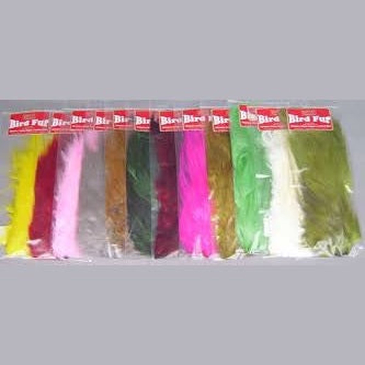 Whiting Bird Fur