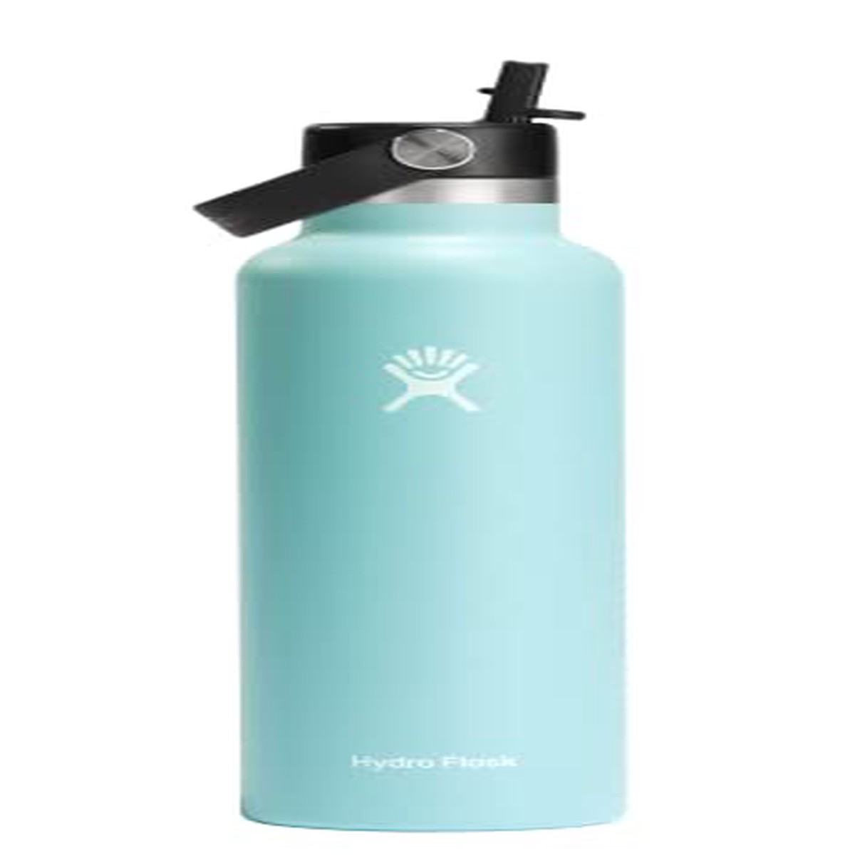 HDF-S24FS441 24 Oz Standard Mouth Insulated Water Bottle with Flex Straw Dew